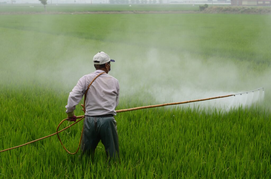 "PM Kisan Yojana 20वीं किस्त ₹2000 ट्रांसफर अपडेट – जुलाई 2025 में किसान लाभार्थियों के खाते में कब आएंगे पैसे