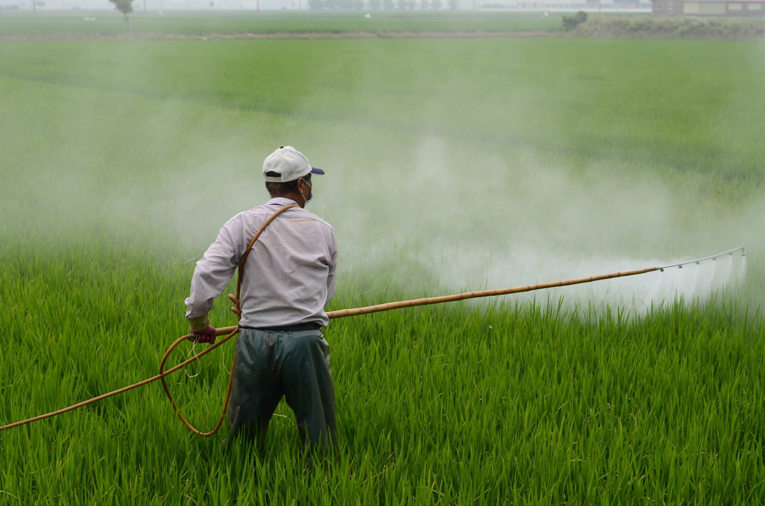 "PM Kisan Yojana 20वीं किस्त ₹2000 ट्रांसफर अपडेट – जुलाई 2025 में किसान लाभार्थियों के खाते में कब आएंगे पैसे